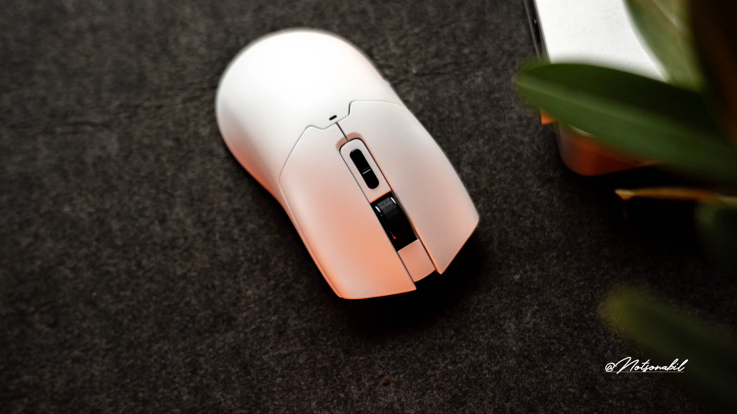 Epomaker Click lite - An amazing budget mouse! 